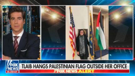 Jesse Watters rips Rashida Tlaib