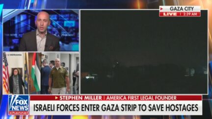 Stephen Miller on Fox News