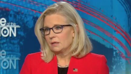 Liz Cheney