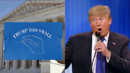 Claim About Trump's 'Small' Genital Organ Going All The Way To Supreme Court — This Week