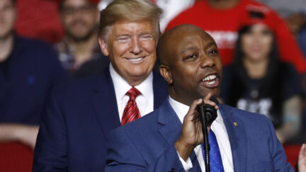 Donald Trump and Tim Scott