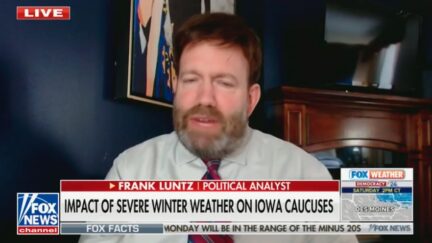 Frank Luntz on Fox News