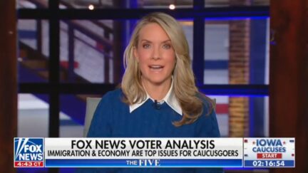 Dana Perino