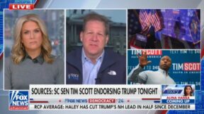 Martha MacCallum and Chris Sununu