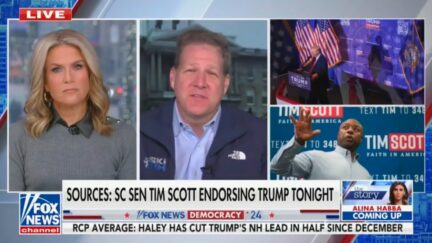 Martha MacCallum and Chris Sununu