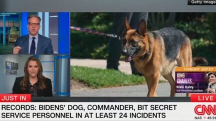 Jake Tapper and Commander Biden