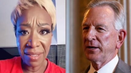 Joy Reid Asks Why Alabama Needs 'More Kids' in Wild Rant About Senator