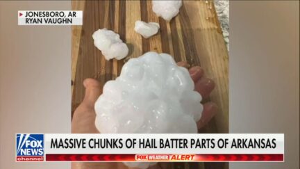 Gorilla Hail