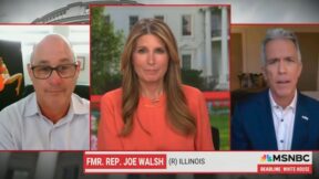 Joe Walsh on MSNBC