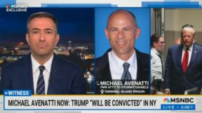 Ari Melber and Michael Avenatti