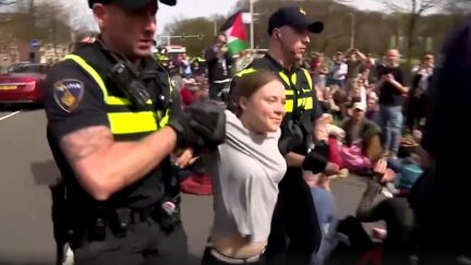 📺 Greta Thunberg Detained Twice In One Day For Blocking Traffic At Climate Protest ‘We Are In A Planetary Emergency!’ (mediaite.com)