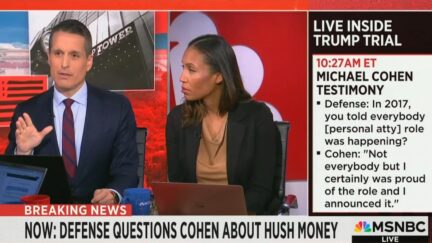 MSNBC Legal Analyst Says Michael Cohen Looks Like Common 'Thief' After Stealing Admission