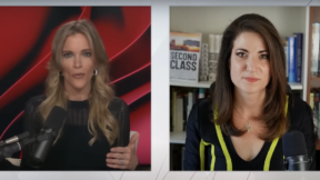Megyn Kelly Roasts Drew Barrymore's Interview with Kamala Harris