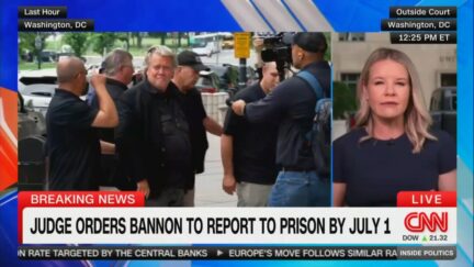 Steve Bannon