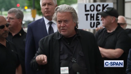 Steve Bannon