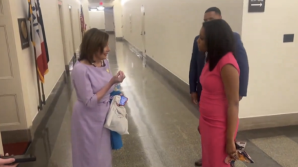 Nancy Pelosi Snaps at Reporter Over Biden Questions