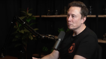 Musk Reveals Trump Talks