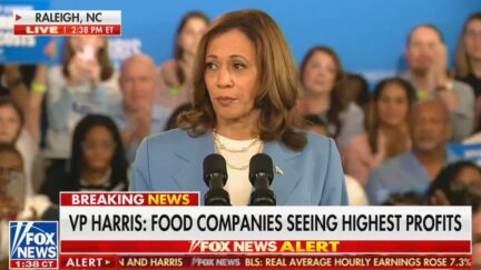 Kamala Harris Vows to Pass Federal Ban on Price Gouging