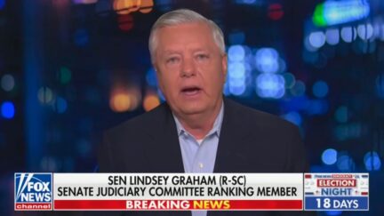 Lindsey Graham on Fox News