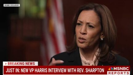 Sharpton Asks Kamala Harris About Trump ‘Street Talk’ Using ‘S-Word’ About Her: ‘We As a Nation’ Should Be ‘Role Model’ For ‘Decorum’ (mediaite.com)