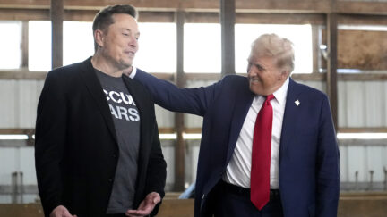 Focus Group Raises Alarms About Elon Musk Relationship with Trump