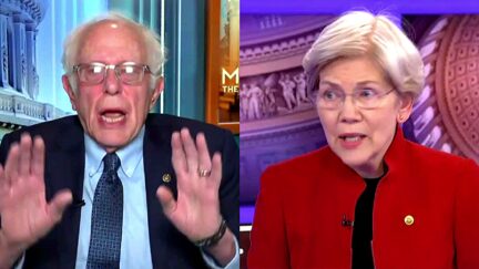 Meet-the-Press-Bernie-Sanders-Defends-Elizabeth-Warren-Over-CEO-Murder-Gaffe-Understands-Killing-Was-Totally-Unacceptable-But-2024-12-16