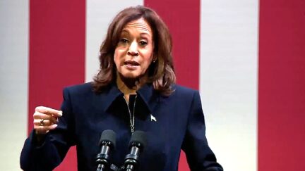 Kamala Harris condemned gun violence and called on elected leaders to 