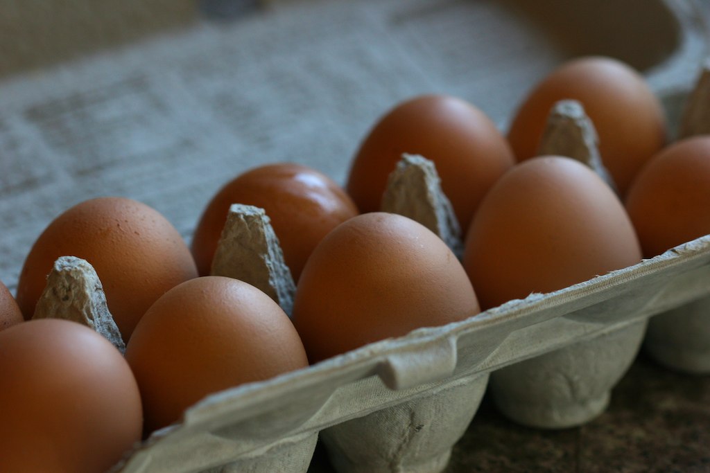 egg carton