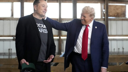 Musk