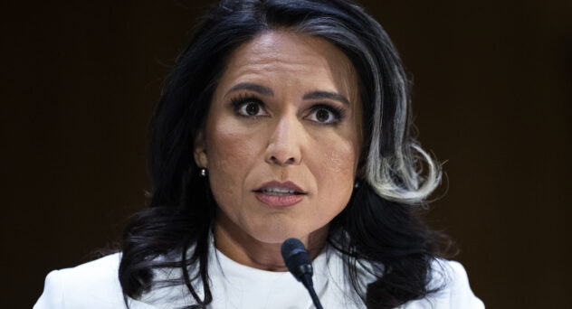 Tulsi Gabbard hearing