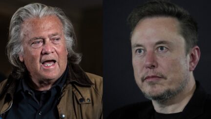 Steve Bannon and Elon Musk