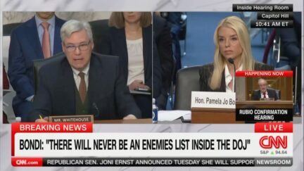 Whitehouse questioning Bondi