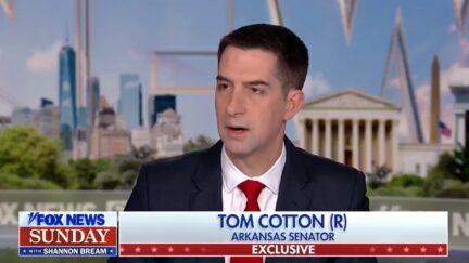 Tom Cotton