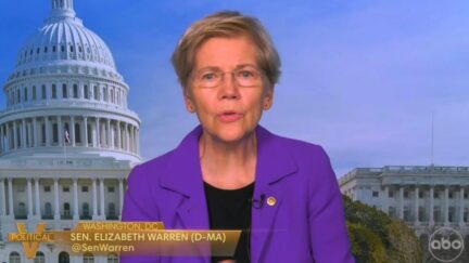 Elizabeth Warren Blasts RFK Jr. Following Senate Clash