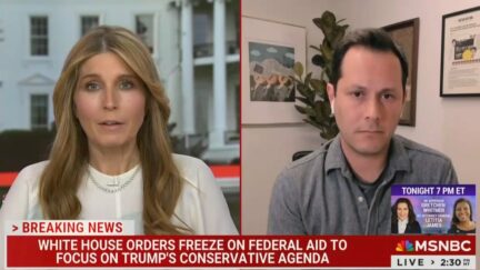 Nicolle Wallace Says Trump Revived Dem Party