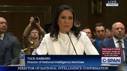 Tulsi Gabbard