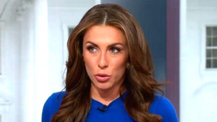 Never-Trump CNN Analyst Defends Trump From Optics Of Musk ‘Standing Over’ Trump In Oval Office