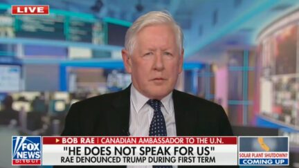 Bob Rae on Fox News