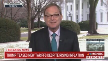 Kevin Hassett on MSNBC