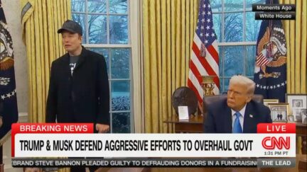 Elon Musk in the Oval Office