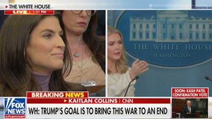Kaitlan Collins Shut Down By Karoline Leavitt At Press Conference