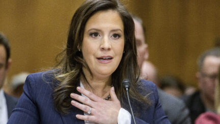 Elise Stefanik