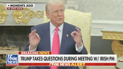 Trump raves about Conor McGregor