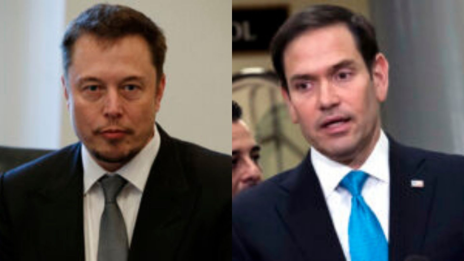 Marco Rubio and Elon Musk Went at It, Trump Sided With Rubio