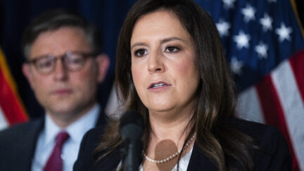 Mike Johnson, Elise Stefanik