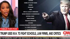 CNN's Abby Phillip Roasts Trump With Comical List Of Attack Targets That Includes 'Red Dye No. 3' And 'Fluoride