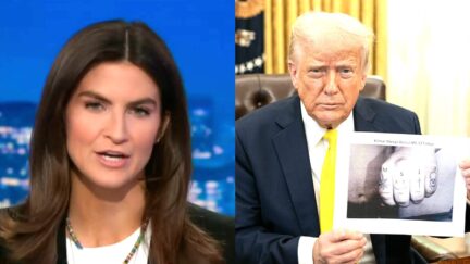 CNN's Kaitlan Collins Calls Out Trump's 'Doctored' Photo Of Wrongly Deported Man — Shows It To His Lawyer