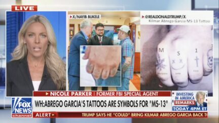 Nicole Parker on America Reports