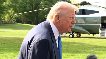 Trump Confronted By Reporter On White House Lawn Over Blizzard Of Lawsuits On Tariffs