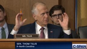 Thom Tillis